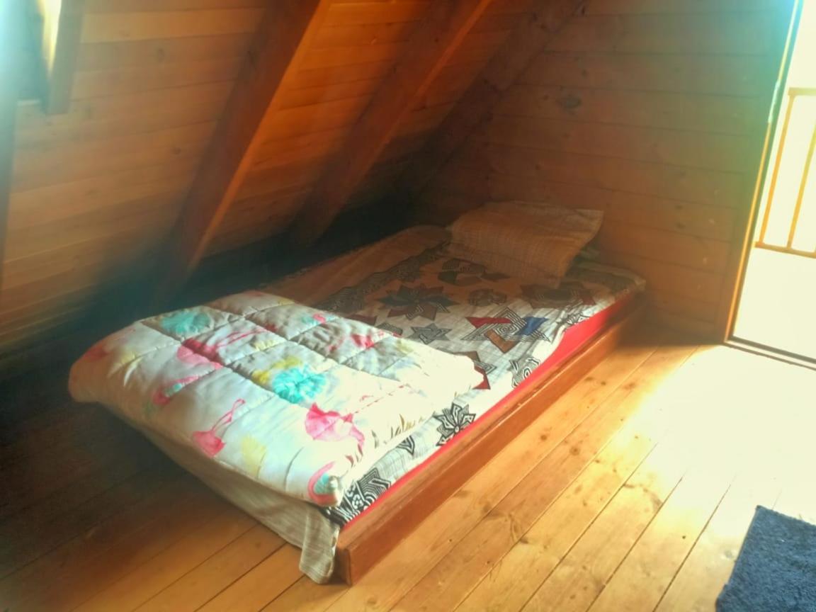 ウーティ Joy Eco Woodhouse - 5 Bhk House (Adults Only)ヴィラ エクステリア 写真